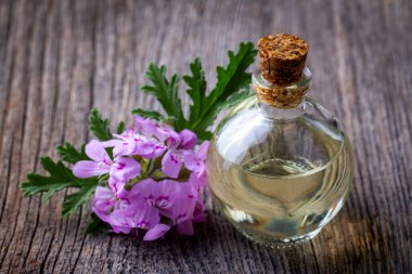 Pelargonium çiçekleri ve temel pelargonyum yağını mezarlığa yerleştirir