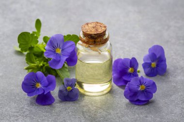 Cam şişe gerekli viyola yağı, taze menekşe çiçekleri, güzellik tedavisi, alternatif tıp