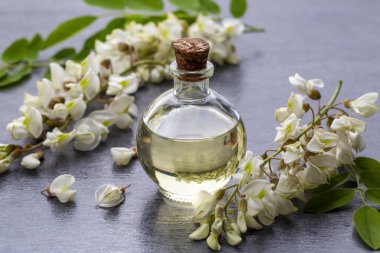 Robinia (sahte akasya) esaslı yağ (çare, özü) şişesi taze akasya çiçekleri ile