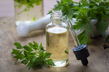 Eski ahşap masanın üzerinde cam bir şişede maydanoz yağı. Petroselinum crispum özü. Sağlıklı gıda, bitkisel ilaç veya naturopati konsepti.