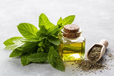 Bir şişe nane yağı ve nane yeşili yapraklar.