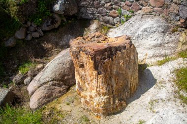 Yunanistan 'ın Lesvos adasındaki UNESCO Geopark 