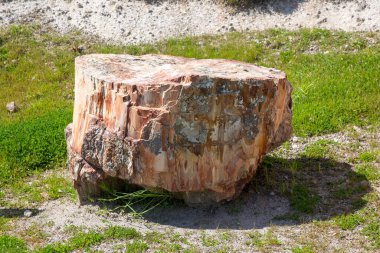 Yunanistan 'ın Lesvos adasındaki UNESCO Geopark 
