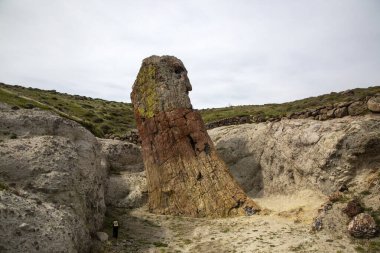 Yunanistan 'ın Lesvos adasındaki UNESCO Geopark 