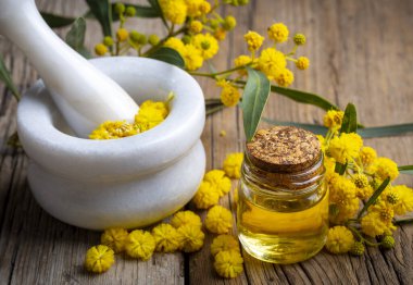 Cam bir şişede Mimosa yağı. Doğal kozmetik, aromaterapi ve spa konsepti