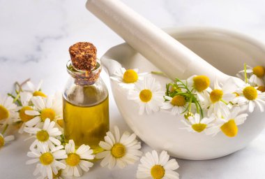 Cam şişedeki temel yağ taze papatya çiçekleri, güzellik tedavisi..