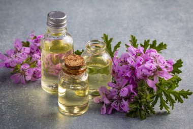 Pelargonium çiçekleri ve temel pelargonyum yağını mezarlığa yerleştirir