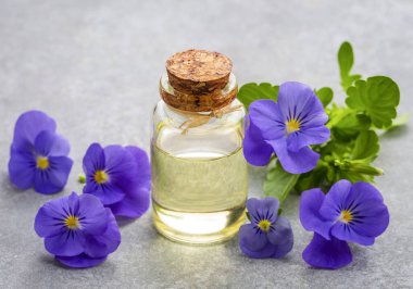 Cam şişe gerekli viyola yağı, taze menekşe çiçekleri, güzellik tedavisi, alternatif tıp