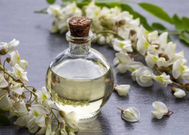 Robinia (sahte akasya) esaslı yağ (çare, özü) şişesi taze akasya çiçekleri ile
