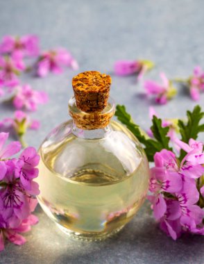 Pelargonium çiçekleri ve temel pelargonyum yağını mezarlığa yerleştirir