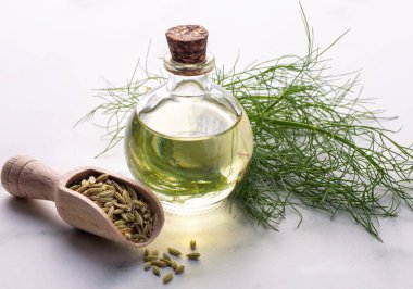 Rezene önemli petrol taze yeşil rezene twigs ve rezene tohum içinde belgili tanımlık geçmiş ile bir şişe