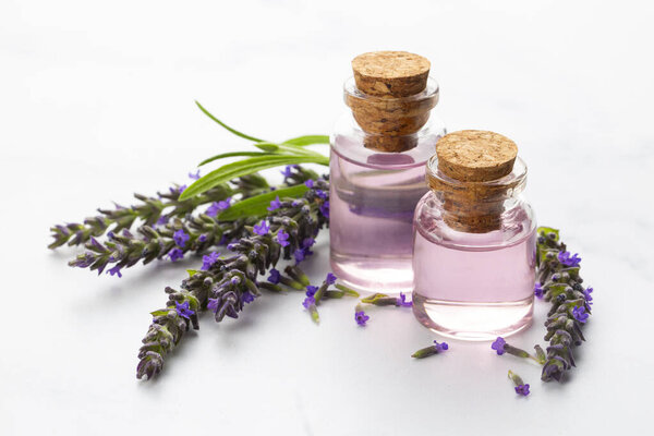 Lavender flower and lavender oil