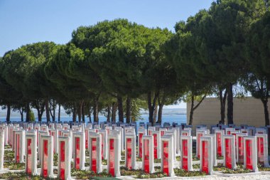 Çanakkale, Türkiye - 29 Mayıs 2024: Çanakkale Şehitleri Anıtı, Gelibolu Muharebesi 'ne katılan Türk askerlerinin anısına düzenlenen bir savaş anıtıdır..