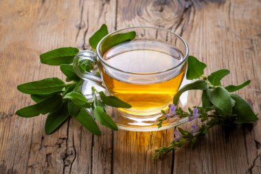 Bir fincan aromatik adaçayı ve taze yapraklar.