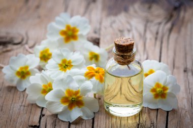 Organik kozmetik ürünleri, Primula doğal yağı, el yapımı bitkisel ve çiçekli cam şişeler.