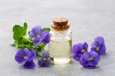 Cam şişe gerekli viyola yağı, taze menekşe çiçekleri, güzellik tedavisi, alternatif tıp