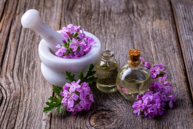 Pelargonium çiçekleri ve temel pelargonyum yağını mezarlığa yerleştirir