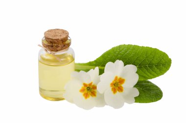 Organik kozmetik ürünleri, Primula doğal yağı, el yapımı bitkisel ve çiçekli cam şişeler.