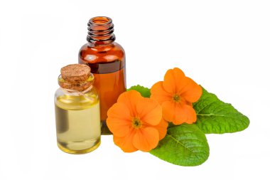 Organik kozmetik ürünleri, Primula doğal yağı, el yapımı bitkisel ve çiçekli cam şişeler.