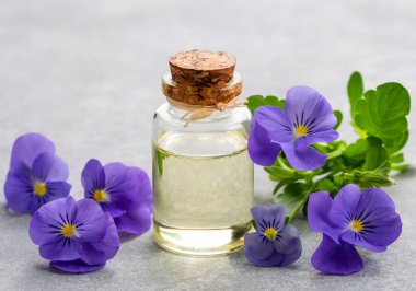 Cam şişe gerekli viyola yağı, taze menekşe çiçekleri, güzellik tedavisi, alternatif tıp