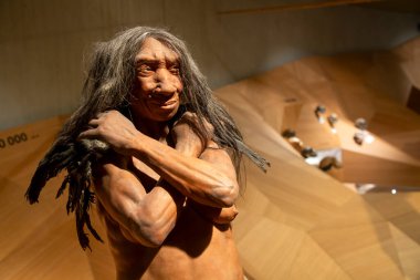 Düsseldorf, Almanya, 16 Şubat 2024, Neanderthal Müzesi