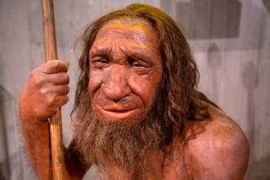 Düsseldorf, Almanya, 16 Şubat 2024, Neanderthal Müzesi