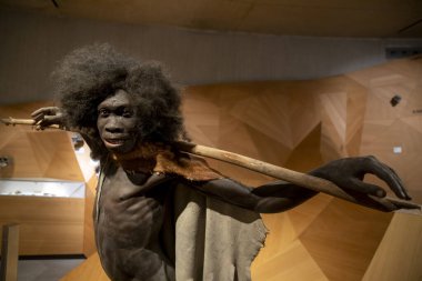 Düsseldorf, Almanya, 16 Şubat 2024, Neanderthal Müzesi