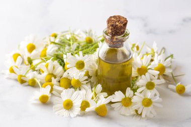 Cam şişedeki temel yağ taze papatya çiçekleri, güzellik tedavisi..