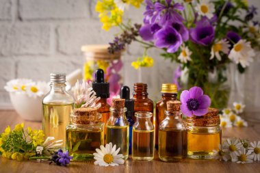 Alternatif bitkisel tıp kavramı. Tentür veya iksir şişeleri, organik gerekli yağlar, kurutulmuş sağlıklı otlar, ahşap masada çiçek özü. Kozmetik üretimi için tamamen doğal malzemeler.