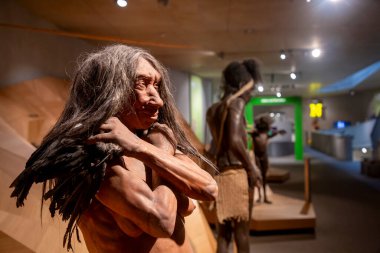 Düsseldorf, Almanya, 16 Şubat 2024, Neanderthal Müzesi