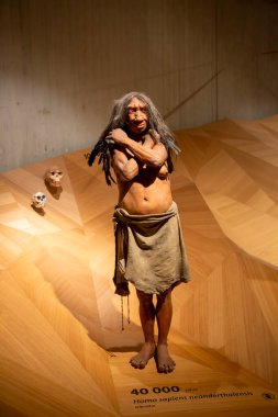Düsseldorf, Almanya, 16 Şubat 2024, Neanderthal Müzesi