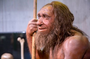Düsseldorf, Almanya, 16 Şubat 2024, Neanderthal Müzesi