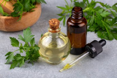 Eski ahşap masanın üzerinde cam bir şişede maydanoz yağı. Petroselinum crispum özü. Sağlıklı gıda, bitkisel ilaç veya naturopati konsepti.