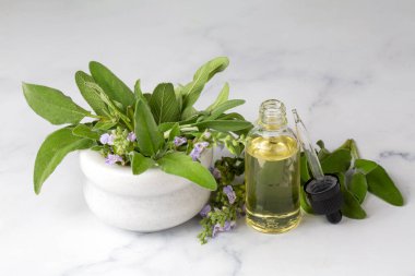 Bir fincan aromatik adaçayı ve taze yapraklar.