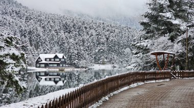 Bolu Golcuk Milli Parkı, Türkiye 'de karlı bir kış gününde göl ahşap evi