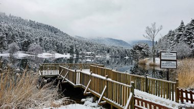 Bolu Golcuk National Park, lake wooden house on a snowy winter day in the forest in Turkey clipart