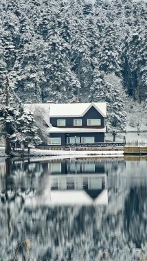 Bolu Golcuk Milli Parkı, Türkiye 'de karlı bir kış gününde göl ahşap evi
