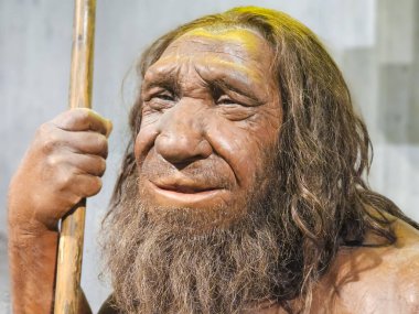 Düsseldorf, Almanya, 16 Şubat 2024, Neanderthal Müzesi