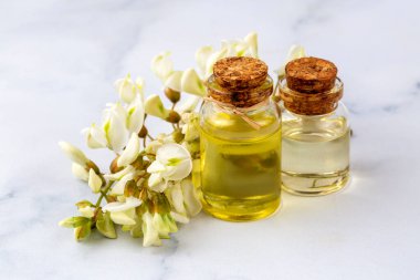 Robinia (sahte akasya) esaslı yağ (çare, özü) şişesi taze akasya çiçekleri ile