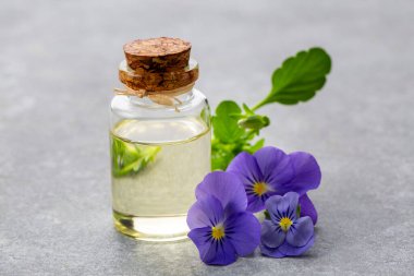 Cam şişe gerekli viyola yağı, taze menekşe çiçekleri, güzellik tedavisi, alternatif tıp