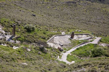 A fossilized tree trunk from the UNESCO Geopark 