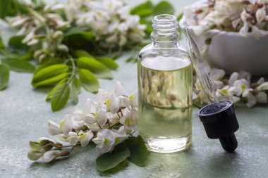 Robinia (sahte akasya) esaslı yağ (çare, özü) şişesi taze akasya çiçekleri ile