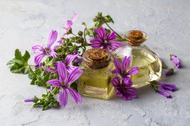 Malva Sylvestris 'in çiçek açması için kullanılması gereken yağ şişesi.