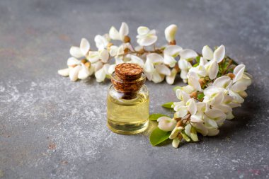 Robinia (sahte akasya) esaslı yağ (çare, özü) şişesi taze akasya çiçekleri ile