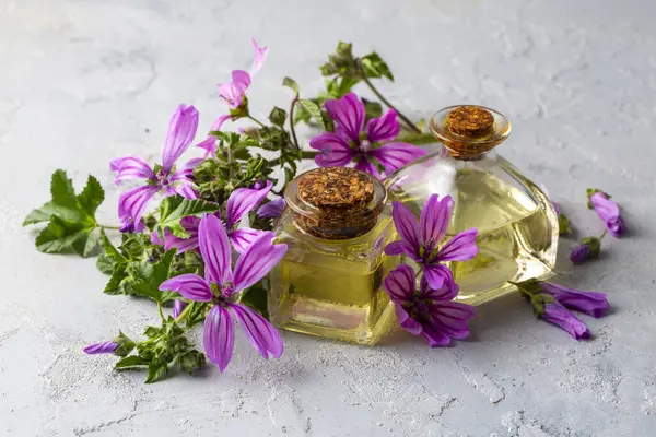 Malva Sylvestris 'in çiçek açması için kullanılması gereken yağ şişesi.