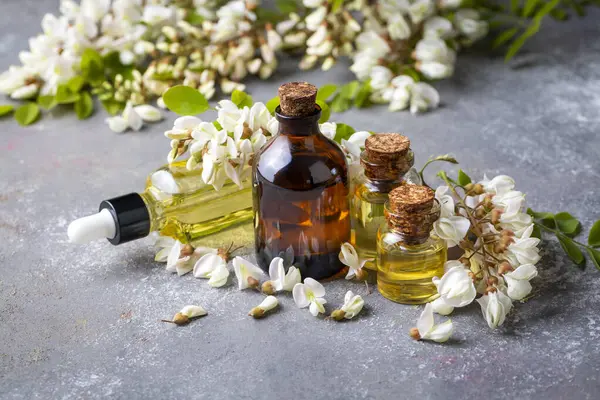 Robinia (sahte akasya) esaslı yağ (çare, özü) şişesi taze akasya çiçekleri ile
