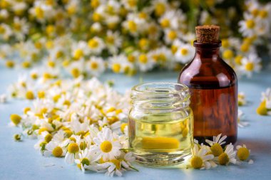 Cam şişedeki temel yağ taze papatya çiçekleri, güzellik tedavisi..