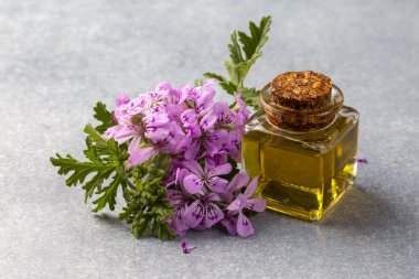 Pelargonium çiçekleri ve temel pelargonyum yağını mezarlığa yerleştirir