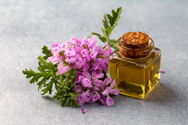 Pelargonium çiçekleri ve temel pelargonyum yağını mezarlığa yerleştirir