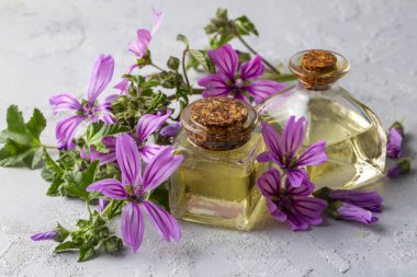 Malva Sylvestris 'in çiçek açması için kullanılması gereken yağ şişesi.